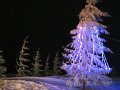 2012-01-07_11-31-37_-rp- IMG_0019